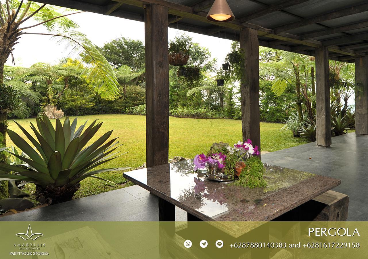 Amaryllis Boutique Resort Paragajen Екстер'єр фото